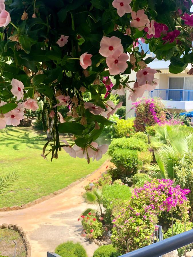 Holiday Apartment Walking Distance To The Sea Paphos Extérieur photo